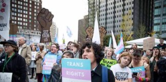 Crowd of protesters holding trans rights signs at a city rally