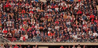 Peter Keys in a large stadium crowd of football fans