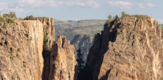 Steep canyon cliffs with a narrow chasm and scattered pines