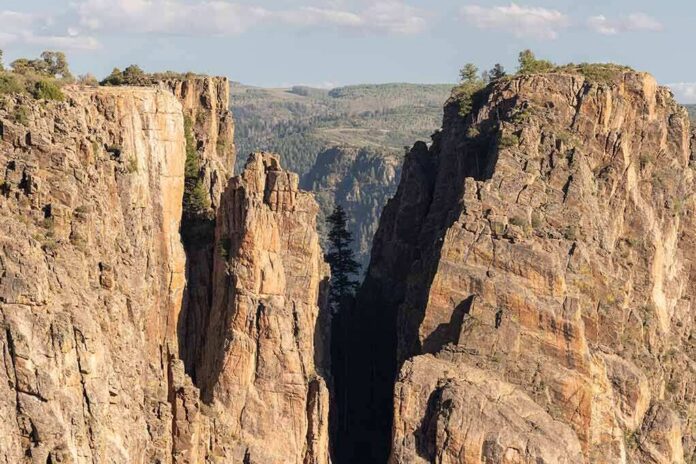 shutterstock_2070172136 Steep canyon cliffs with a narrow chasm and scattered pines