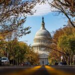 United States Capitol dome framed by a tree-lined street