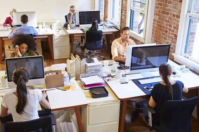 Open-plan office with employees working at desks