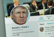 social media profile page on a smartphone screen