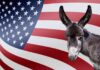 Donkey in front of an American flag