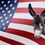 Donkey in front of an American flag