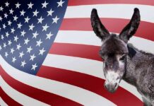 Donkey in front of an American flag