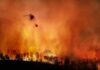 Hero Pilot Dies Fighting Yosemite Inferno Helicopter fights massive wildfire over burning forest
